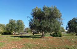 Land 6